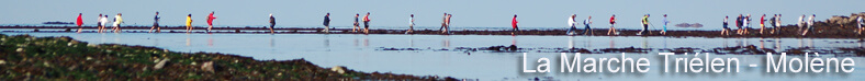 bandomarche