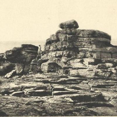 Environnement et Archipel